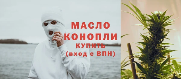 крисы Богородицк