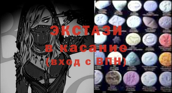 крисы Богородицк