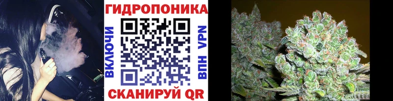 Бошки Шишки конопля shop Telegram Гремячинск